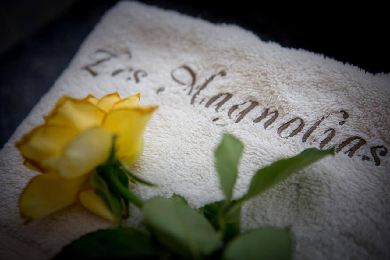 Lalinde Les Magnolias Holiday Homes מראה חיצוני תמונה